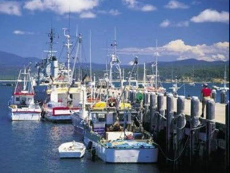 Saltwater Apartments エデン エクステリア 写真
